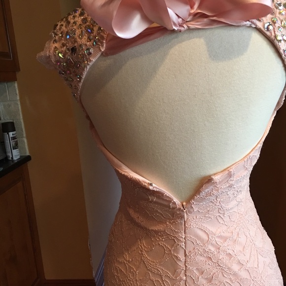 Beautiful Blush Prom Pageant dress - Picture 7 of 8